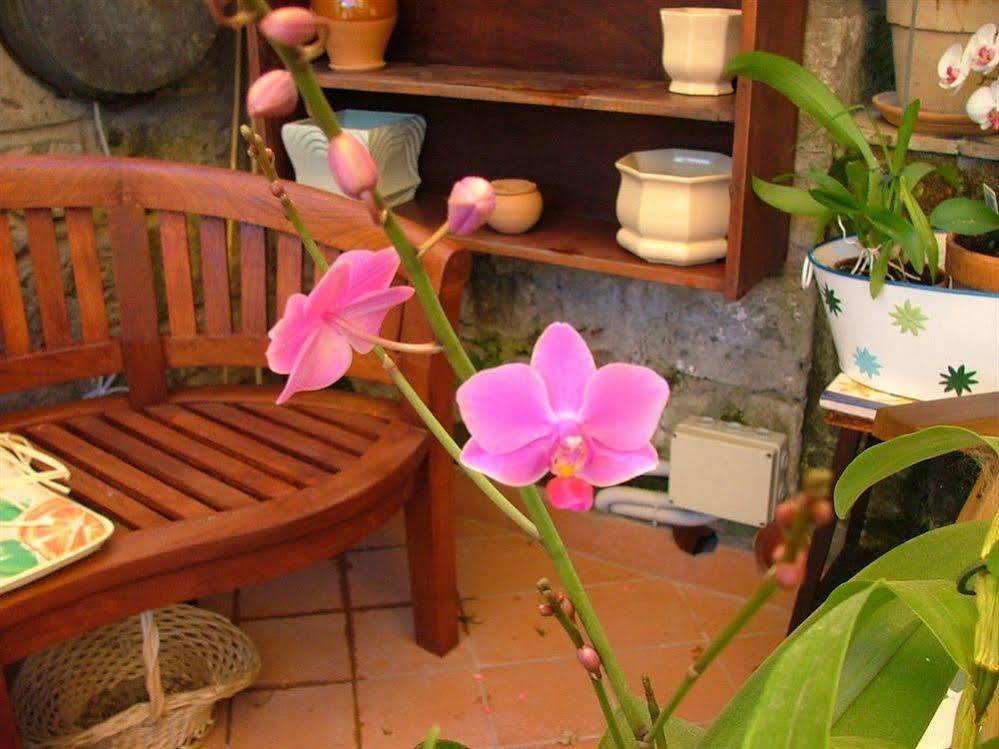 Orchid Corner Guesthouse Meta Extérieur photo